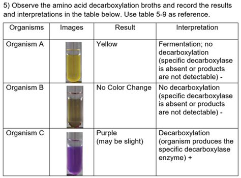 lysine decarboxylase test|lysine decarboxylase reaction.
